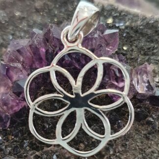 Pendentif graine de vie